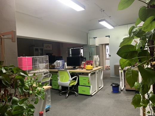 房源照片5